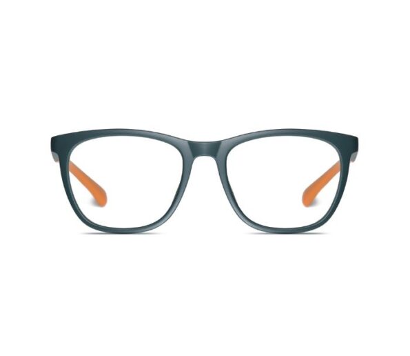 Fashion Glasses FG4 02 595x516
